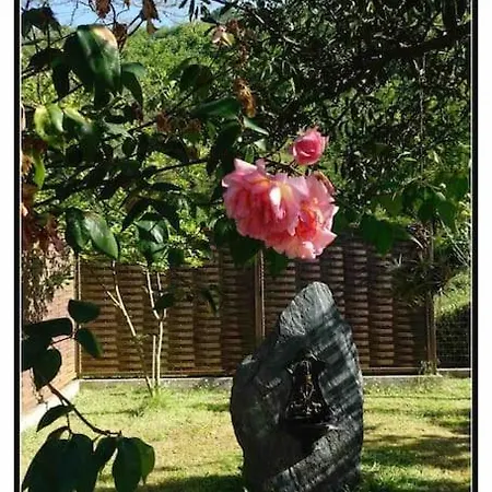 Tranquilidad Y Naturaleza ,reformada En 2020 * La Llovera